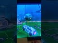 Use the sound for aura