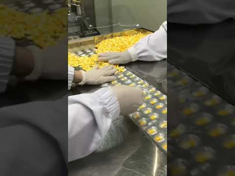 هكذا يتم تعبئه الكبسول في مصانع الادويه 