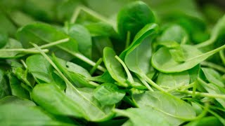 Benefits of spinach/Spinach for eyesight/Spinach for hair growth