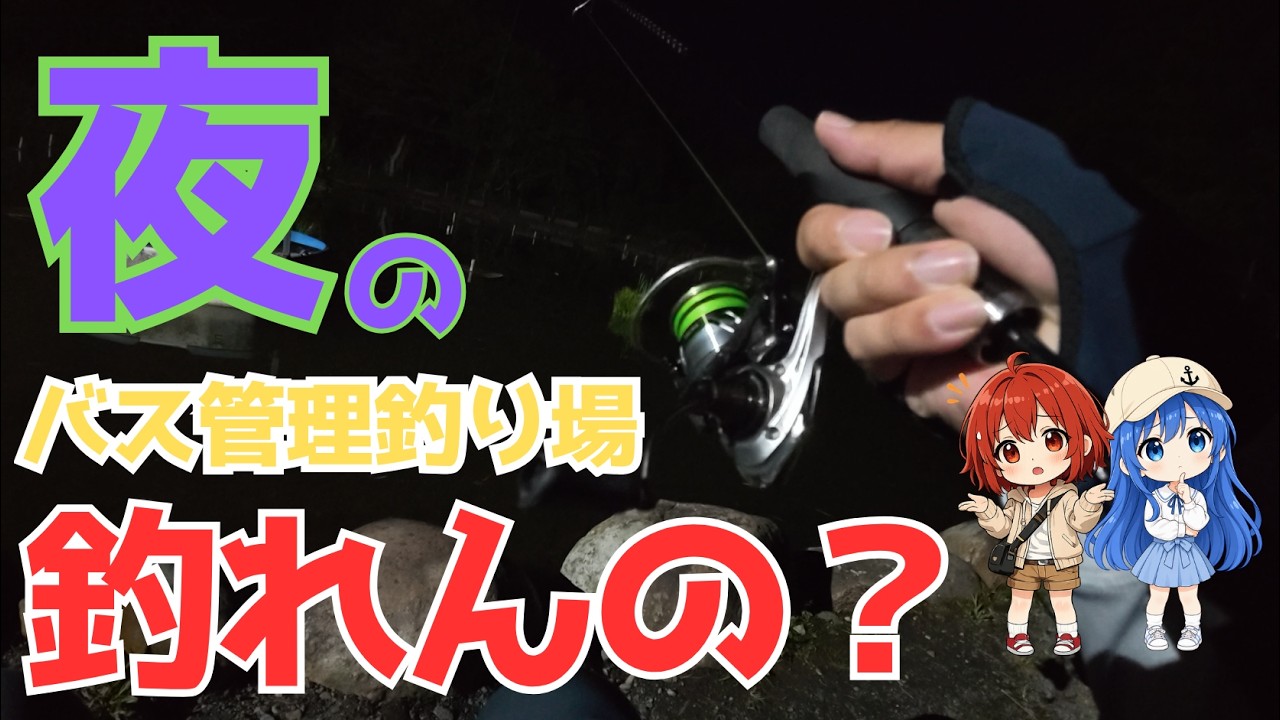 キングフィッシャー｜オーナーに「やめとけ」と言われた夜に…