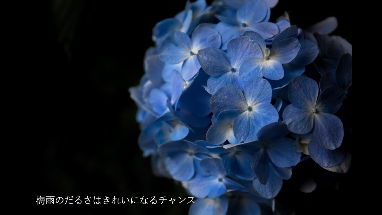 梅雨はきれいになるチャンス Youtube