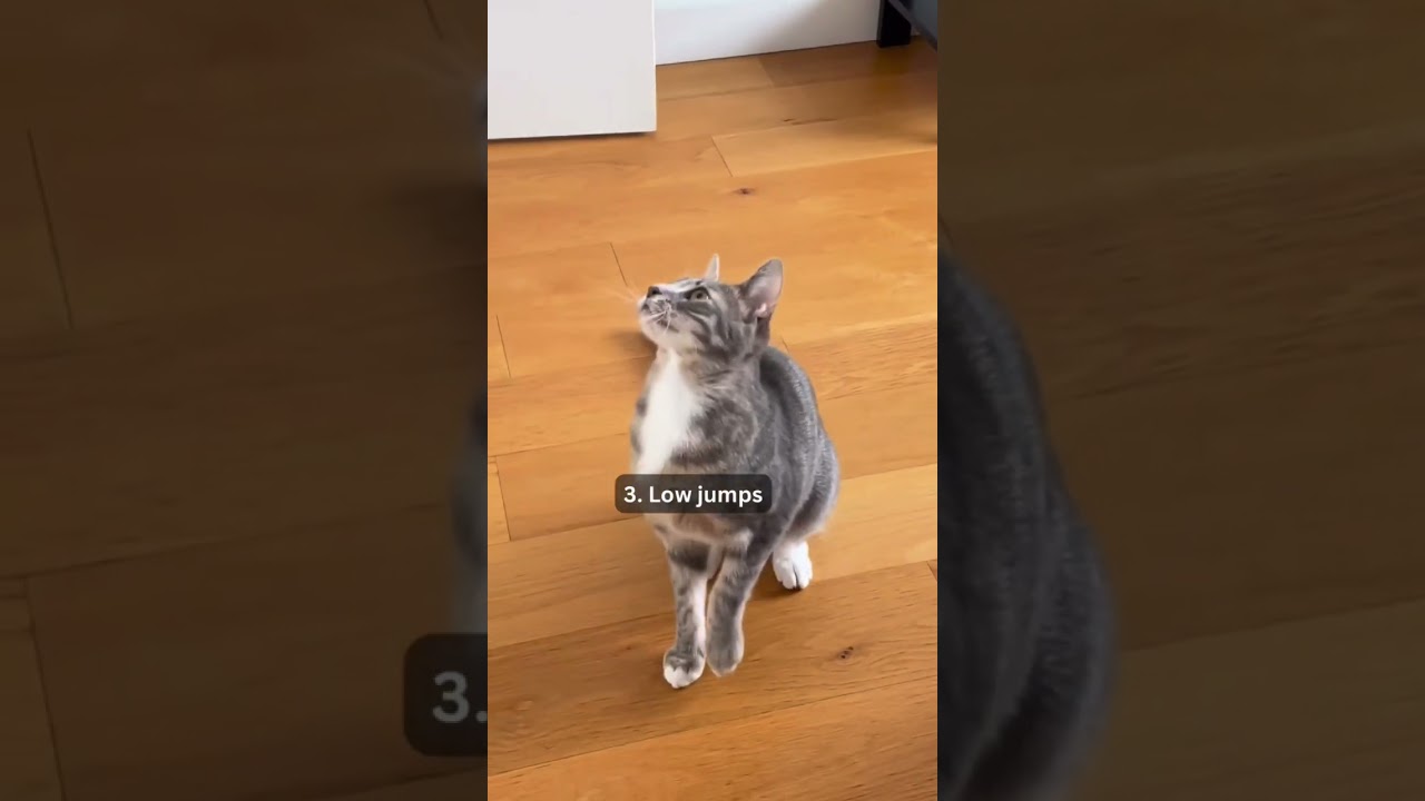 Workout for beginners! 6 exercises 