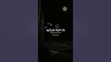 #سورة_القدر  بصوت #القارئ_محمد_الفقيه #القرآن_الكريم  #اكسبلور #راحة_نفسية #تلاوة_خاشعة #quran #لايك