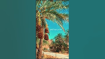 تلاوة خاشعة،  آيات من سورة الرحمان #قرآن #القنطرة #تلاوة_خاشعة