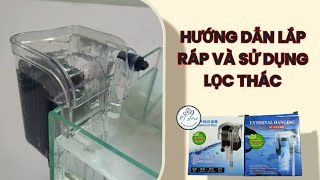 HƯỚNG DẪN LẮP RÁP VÀ SỬ DỤNG LỌC THÁC cho bể cá mini @ptstorebecavaphukien8904