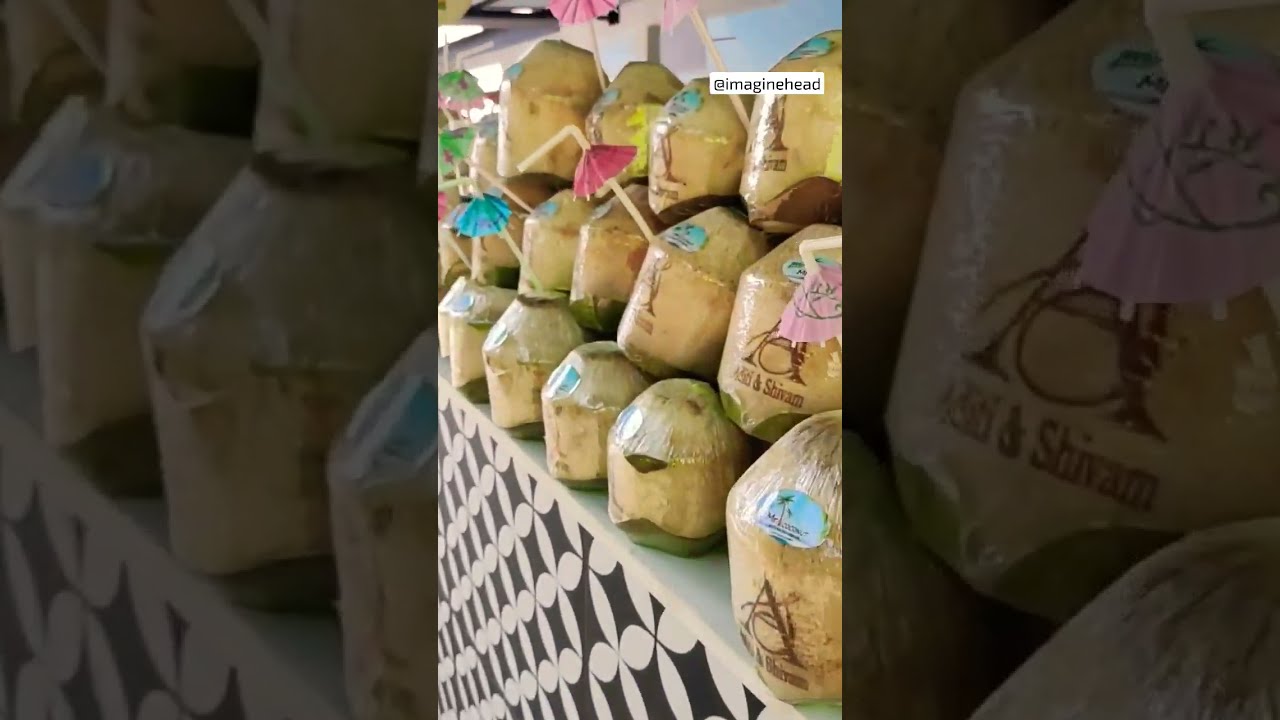 1st Time Experience || Mr.Coconut 🥥🌴.       