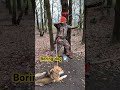 Boring Dog Bogenschießen Ohne Hund Ist Schund