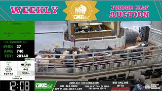 OKC WEST LIVESTOCK MARKET | 4,000 Head All-Class Post-Holiday Blockbuster | 5.27.26