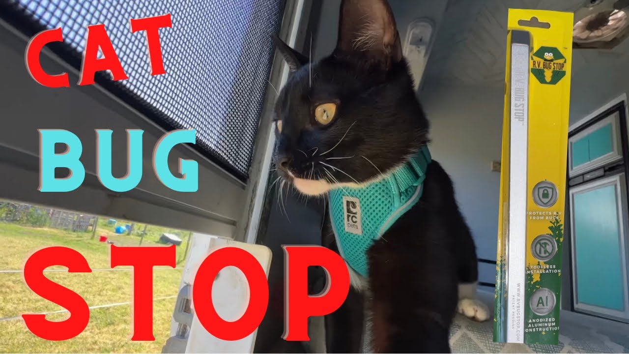 Cat/Bug STOP Self-Closing Slider for R.V. Screen Door