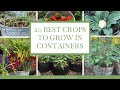 20 BEST Vegetables, Fruits & Herbs for CONTAINER GARDENING: Growing in the Garden