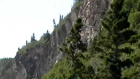 Cap Bon ami Parc National de Forillon