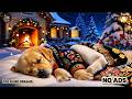 12 HOURS Calming Dog Music 🐶💤 Anti Anxiety Music for Dogs 🌙 Deep Relax 💖 No Ads