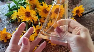 ЗНАЙШЛА  АНАЛОГ НА  Baccarat Rouge 540