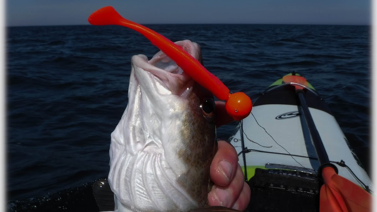 Kayak Fishing in Scotland . Rubber lure edition . YouTube