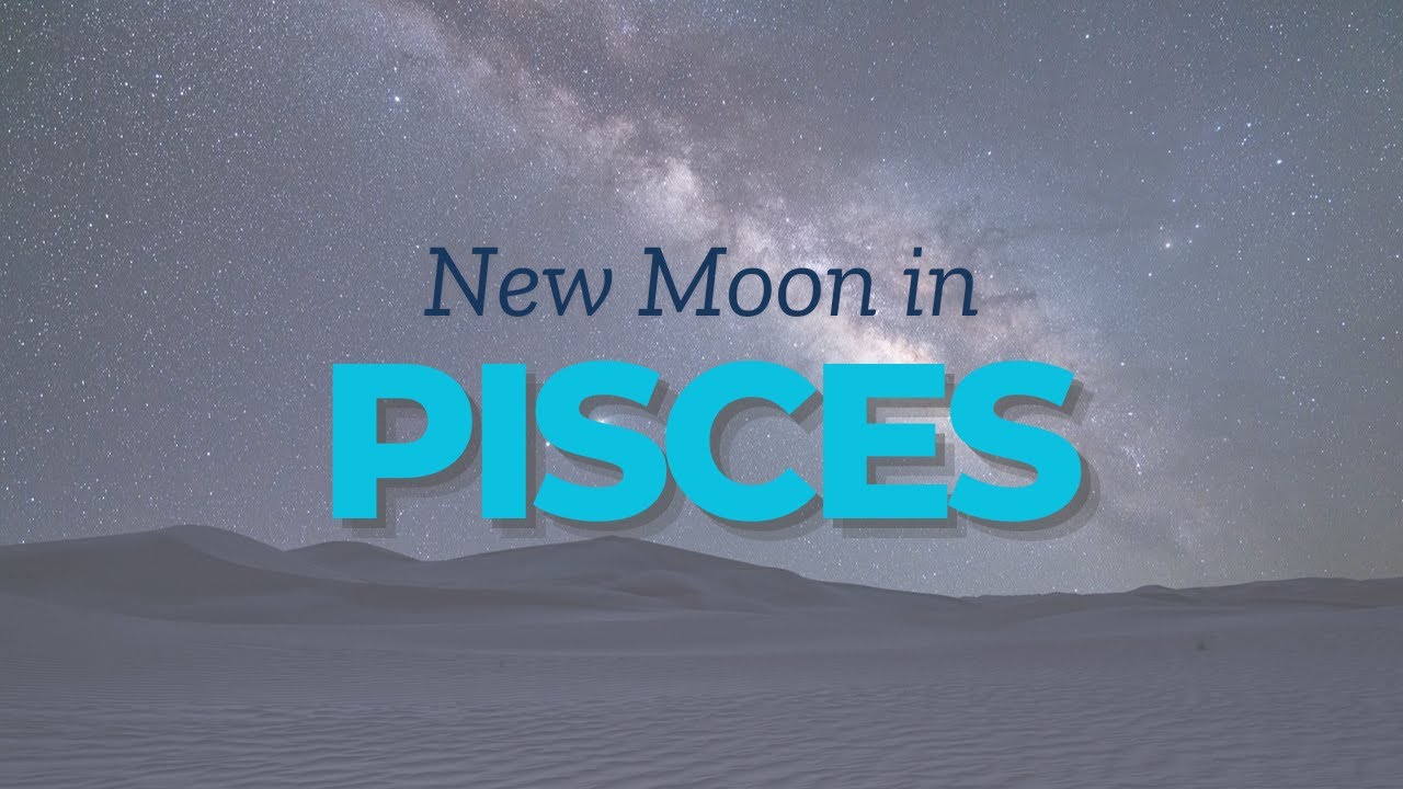 Collective Energy Reading for the New Moon 🌑 in Pisces - YouTube