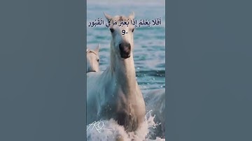 قرآن / سورة العاديات _ بصوت أكثر من رائع
