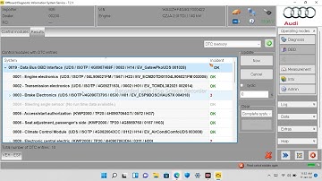 Audi A6 Air Suspension Re-adaptation