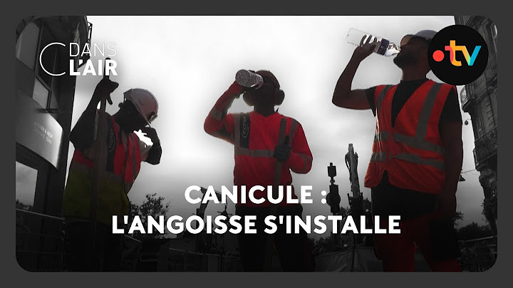 Canicule : l'angoisse s'installe -  C dans l’air - 01.07.2025