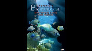 Watch Adventure Bahamas 3D - Mysterious Caves And Wrecks Trailer