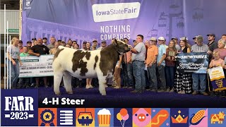 4H Steer – Fair 2023