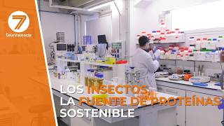 AIMPLAS sigue con investigaciones sobre los insectos como fuente de proteínas sostenible