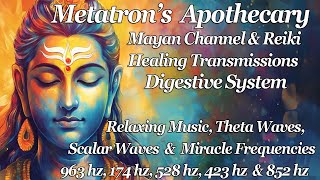 Heal Your Digestive System with Miracle Frequencies | Reiki & Divine Light Alchemy
