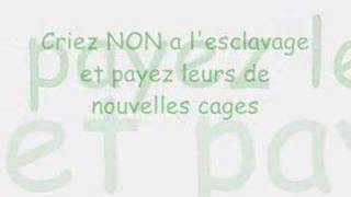 TELEPHONE _ ARGENT TROP CHER chords
