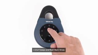 SK3E Keybox 3E - 2 Indicators