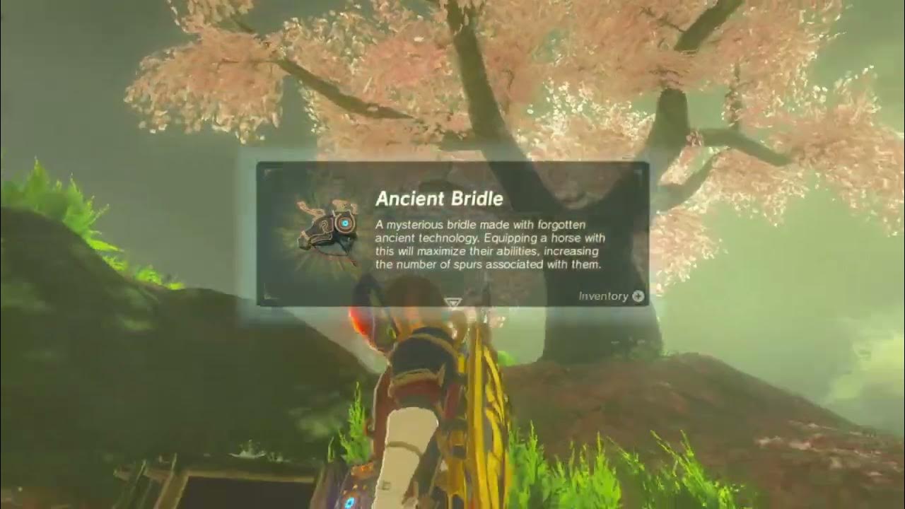 How To Get The Ancient Horse Armor YouTube