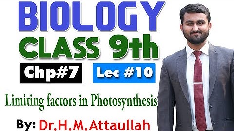 Limiting factors in photosynthesis  | Bioenergetics | Chapter 7 | 9th class Biology | Lec 10