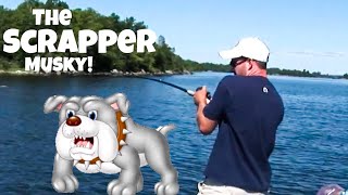 Scrapper Musky!