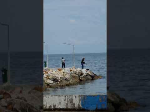 Men are fishing