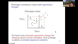 Lecture 7: INDEX SELECTION