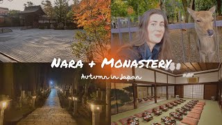 NARA + 1200 yr old Graveyard + Monastery - Autumn in Japan by Mag aMusing 116 views 11 months ago 15 minutes