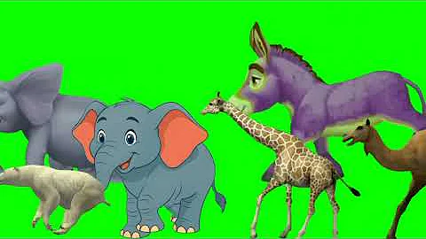 Cartoon animals running video l animal stampede | stampede green screen