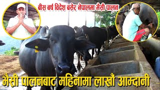 विदेशबाट फर्किएर भैसी पालन | भैसी  पालनबाट महिनामा लाखौं आम्दानी | Bhaisi Palan In Nepal