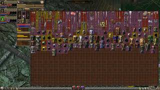 Dungeon Siege 2 - Large Inventory - Advanced Equipment
