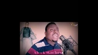 Chisale Shedia cover