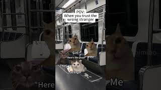 CAT MEMES🐱When you trust the wrong stranger #catmemes #memes #funnymemes #funny #relationship