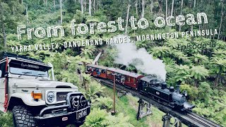 From forest to ocean – Yarra Valley, Dandenong Ranges, Mornington Peninsula – Episode 18