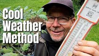 Plant Tomatoes Even If It's Cold, My Secret. by GardenFork 1,292 views 10 months ago 8 minutes, 17 seconds