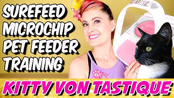 The SureFeed Microchip Pet Feeder from SureFlap - How To Use, Training, Tips & Tricks!