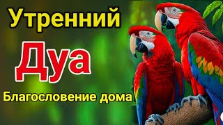 Утренний Дуа. Дуа Каждое Утро