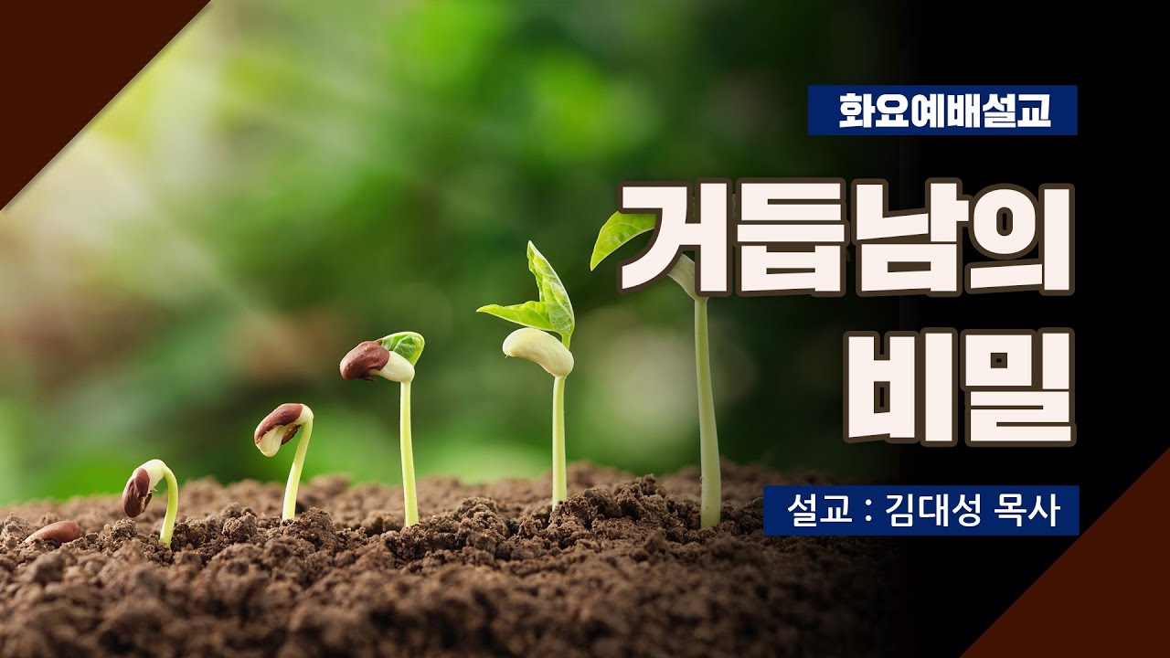 [화요설교] 거듭남의 비밀 | 김대성 목사