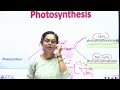 NEET ONLINE CLASSES#BIOLOGY#