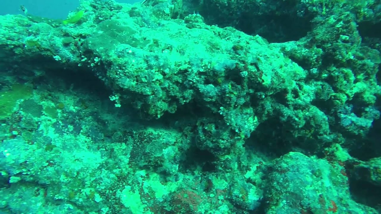 Horseshoe in Okinawa 14 Dec 2014 YouTube