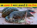 क्या हुआ जब अजगर ने गलत दुश्मन से पंगा लिया? । What Happens When Python Messed With Wrong Opponent?