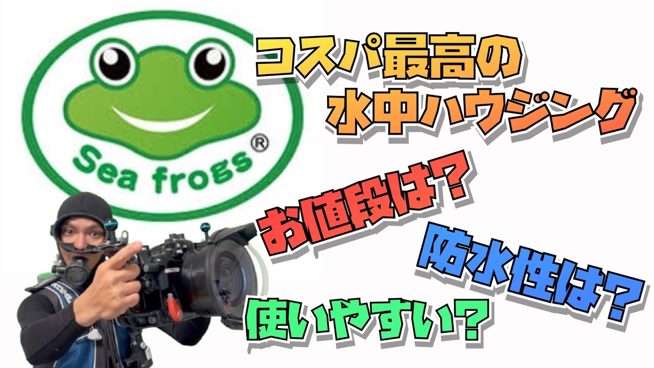 📸The best value underwater housing🐸SeaFrogs🤿Compared with