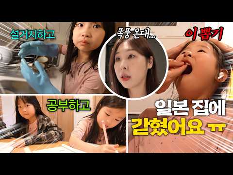여행 마지막 날 폭풍우가 와서 숙소에만 있어야 된대요ㅠㅠ 마지막까지 위기..?! 공부하고 설거지하고 이뽑고 하루 보냈어요ㅠㅠ  [일본 5편-마지막편]
