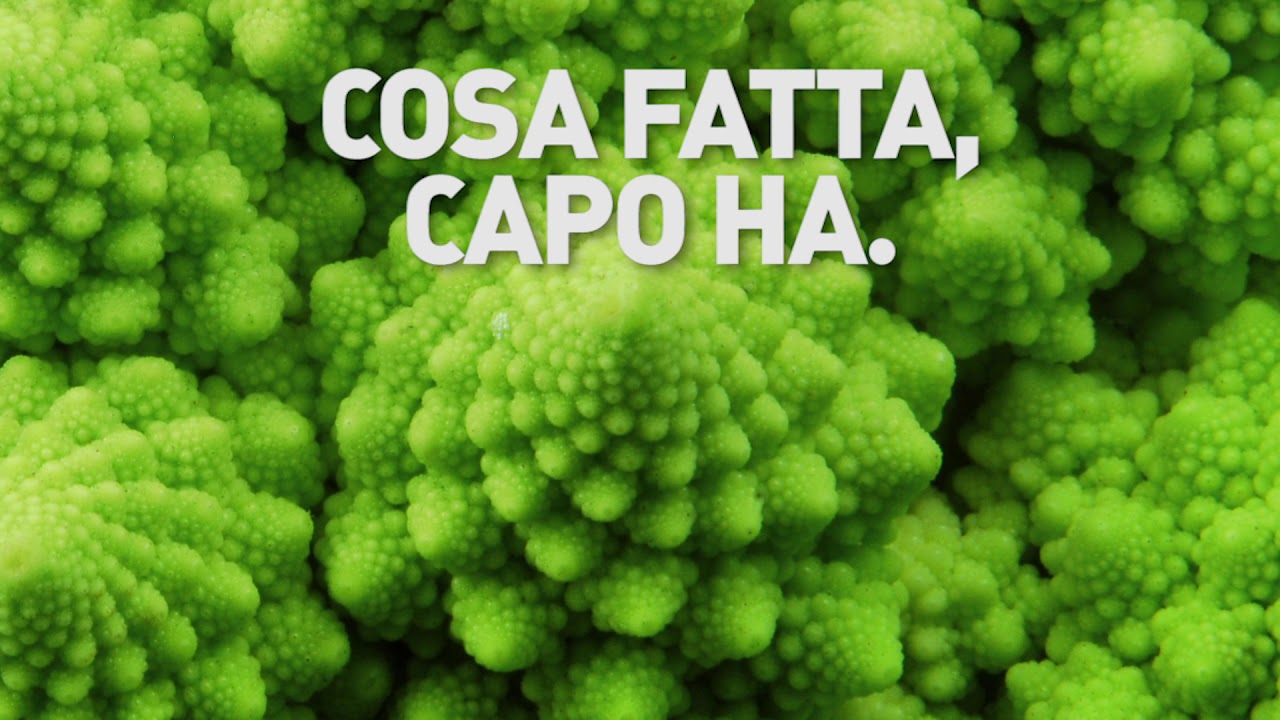 1. Cosa Fatta, Capo Ha. Cosa Ben Fatta, Capo Non Ha. YouTube 1. Cosa Fatta, Capo Ha. Cosa Ben Fatta, Capo Non Ha. YouTube